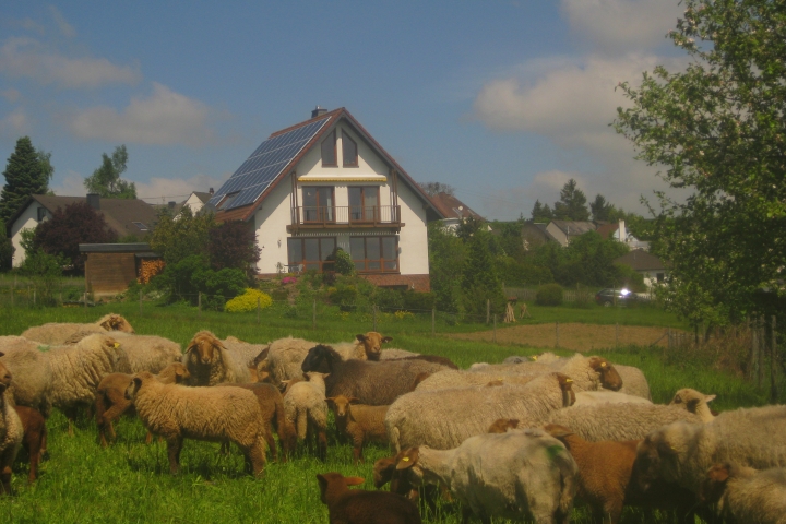 Rückansicht des Hauses, Terasse der Ferienwohnung rechts unten gelegen, auf dem Bild durch Sträucher verdeckt