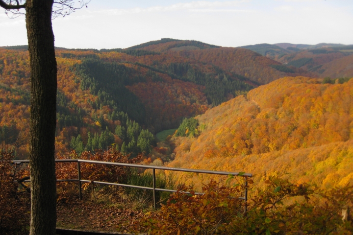 Herbststimmung auf den Wanderwegen unweit des Hauses mit Blick bis zur Nürburg