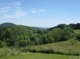 (Weit)-Blick von der Terrasse