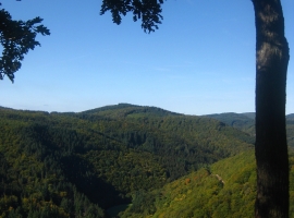 Foto 19