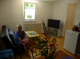 Wohnstudio mit Polstergarnitur, FS,  Küchenzeile und Essecke
