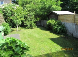 Foto 3