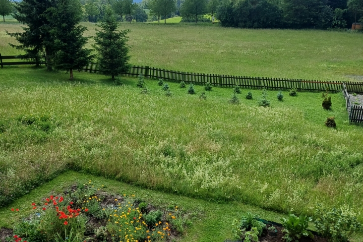 Blick zum Garten und zur Hauptstraße