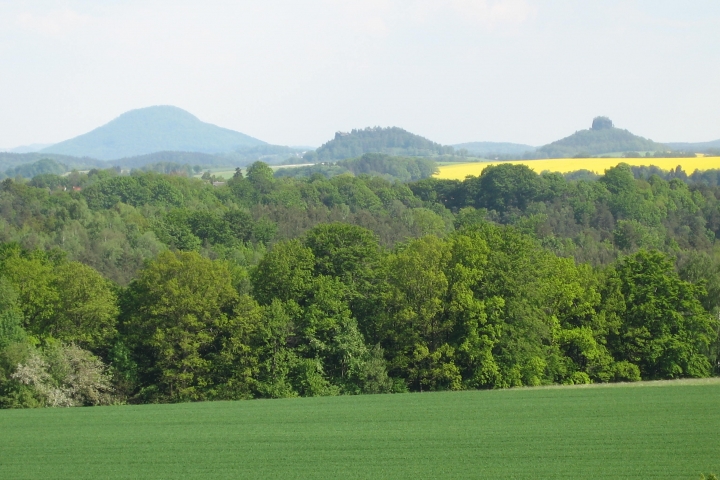 Zirkelstein, Kaiserkrone im Schöna