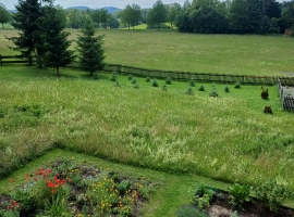 Blick zum Garten und zur Hauptstraße