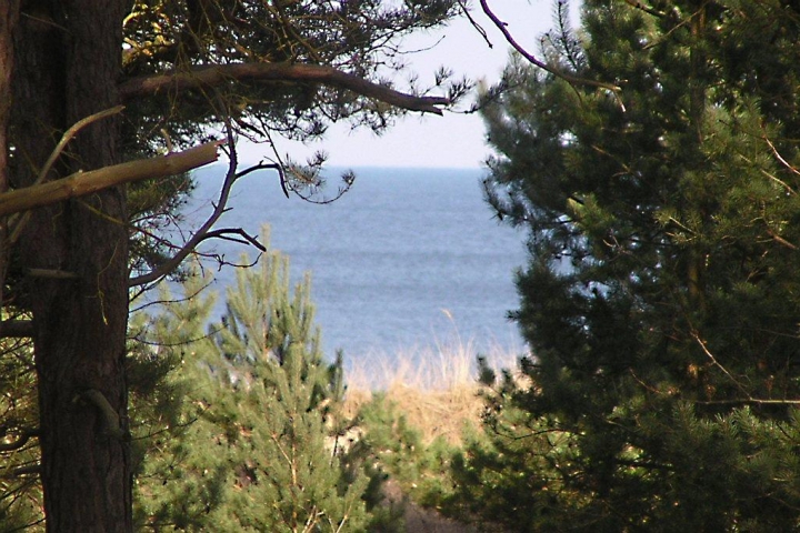 Blick aus dem Obergeschoss des Ferienhauses