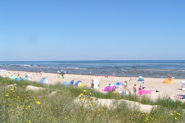 Strandleben 40m vom Ferienhaus