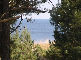 Blick aus dem Obergeschoss des Ferienhauses