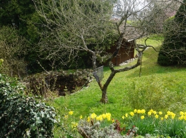 Foto 9