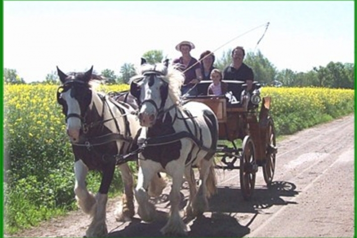 Kutschfahrt mit unseren Pferden