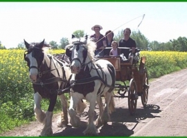 Kutschfahrt mit unseren Pferden