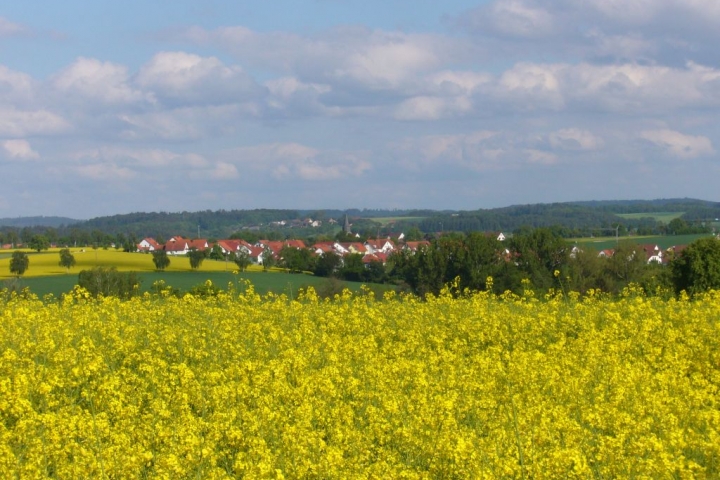Rot am See, idyllisch mitten im Hohenloher Land gelegen.Von hier aus erreichen Sie interessante Ausflugsziele; wie Rothenburg o.d.T.,Dinkelsbühl,Schlo
