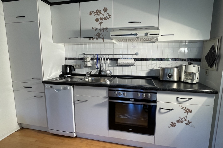 Küchenzeile mit Spülmaschine im