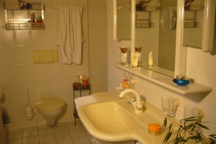 Moderne, hygienisch saubere Duschbäder, die ausserdem ausgestattet sind mit Fön, Rasierspiegel und Kosmetika.