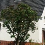 Ferienhaus Staaken