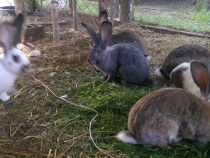 Foto 9