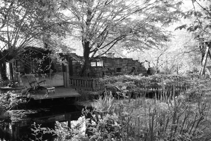 Hintergarten mit Teich