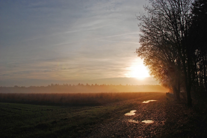 Umgebung Sonnenaufgang