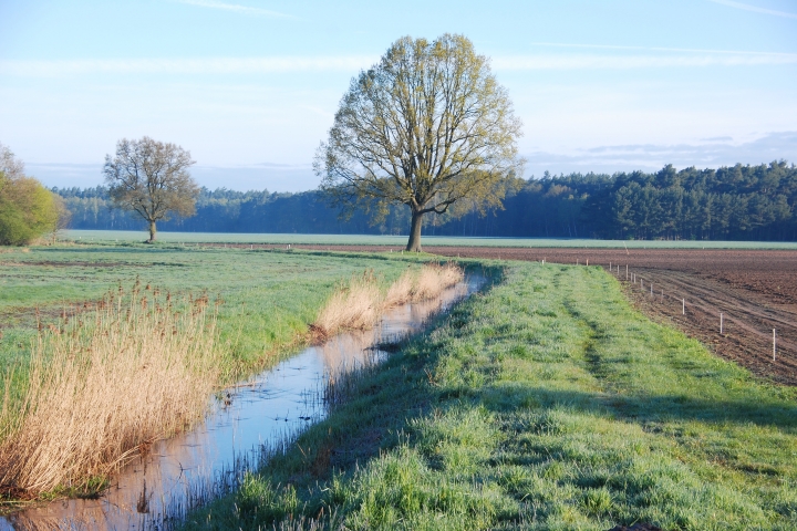 Umgebung Felder und Bach