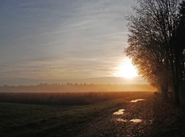 Umgebung Sonnenaufgang