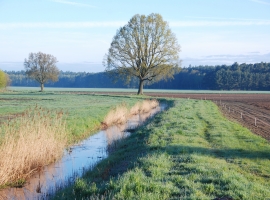 Umgebung Felder und Bach