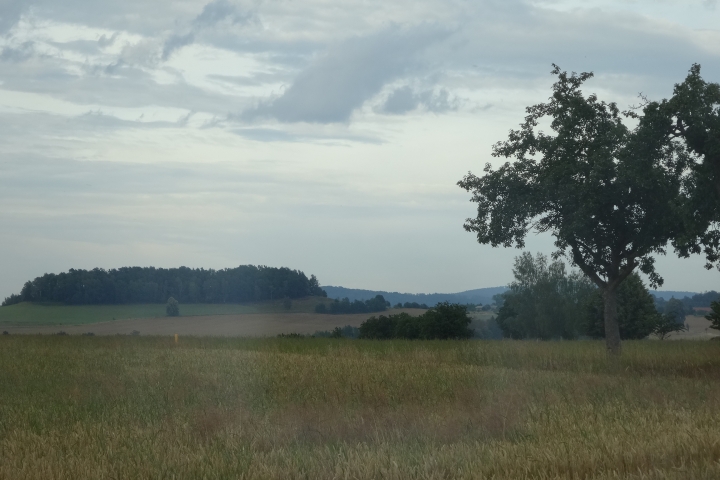 Blick zum gegenüberliegenden Adamsberg