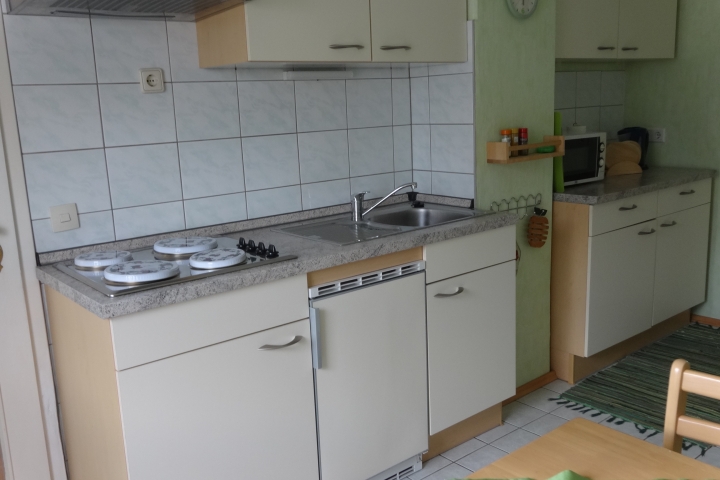 Kochbereich mit Kühlschrank und Spüle
