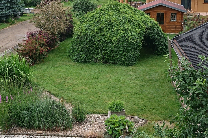 Der Gästegarten mit der Weinlaube