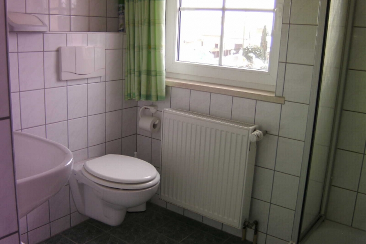 Das Bad mit WC, Waschbecken und Dusche