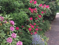 Blumen im Garten des Chalets