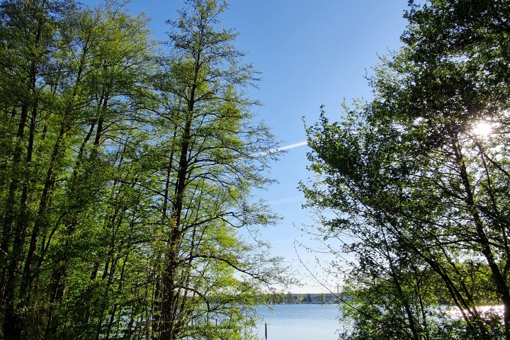 Der Werbellinsee, 100m vom Haus.