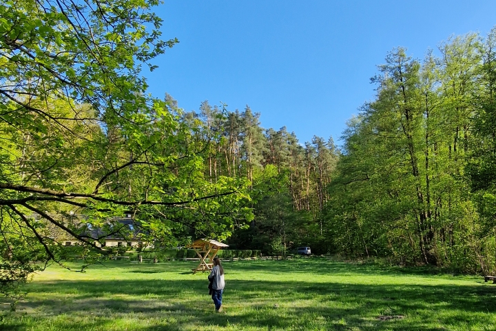 Die Liegewiese am See