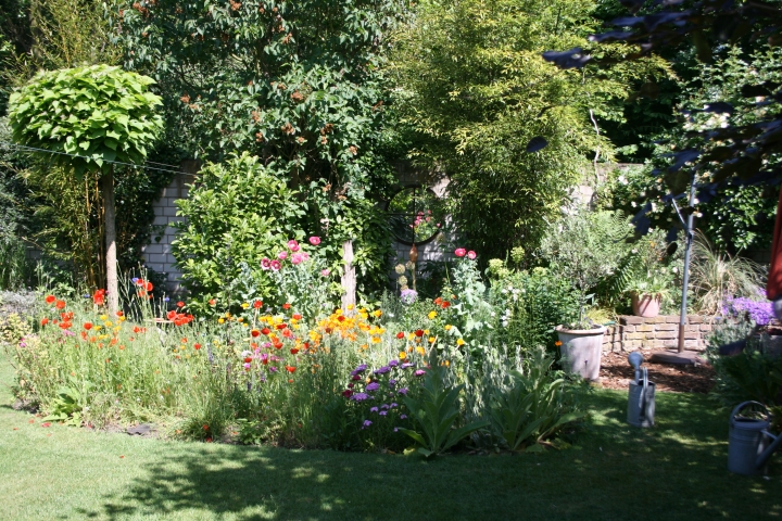 Wiesenblumen in unserem Garten