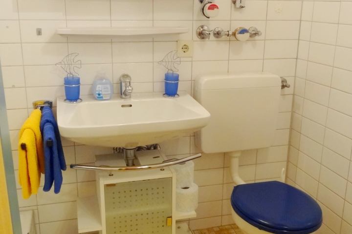Im Bad - WC, Waschbecken und Spiegelschrank.
