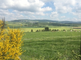 Foto 21