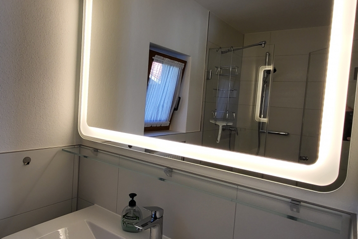 Dusche: Waschtisch und Spiegel
