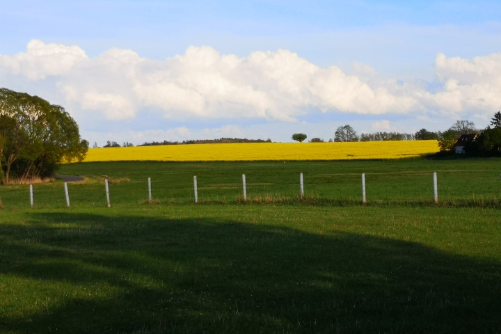 Blick in den Mai 2020.