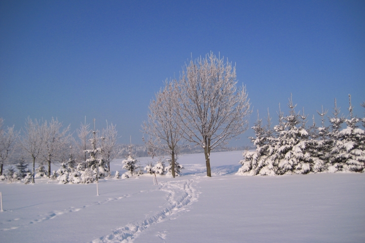 Winterliche Impressionen