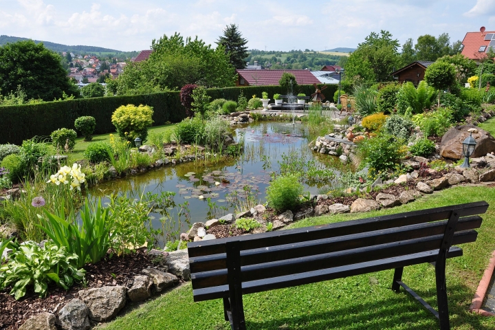 Bick auf den Gartenteich