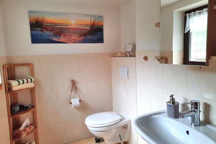 Badezimmer mit WC, Dusche getrennt, Fön