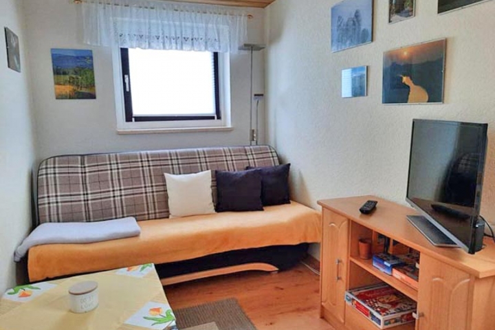 Wohnzimmer mit Tisch und Stühle, Flachbild SAT - TV, WLAN, Sofa, auch als Schlafsofa für 1 Person