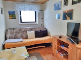 Wohnzimmer mit Tisch und Stühle, Flachbild SAT - TV, WLAN, Sofa, auch als Schlafsofa für 1 Person