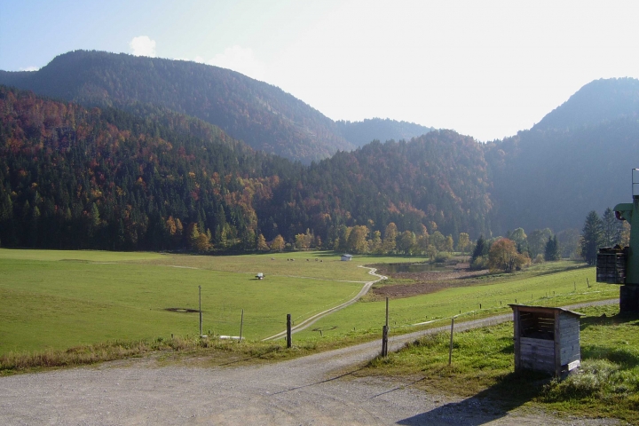 Blick zum Entenweiher
