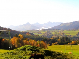 Blick nach Österreich