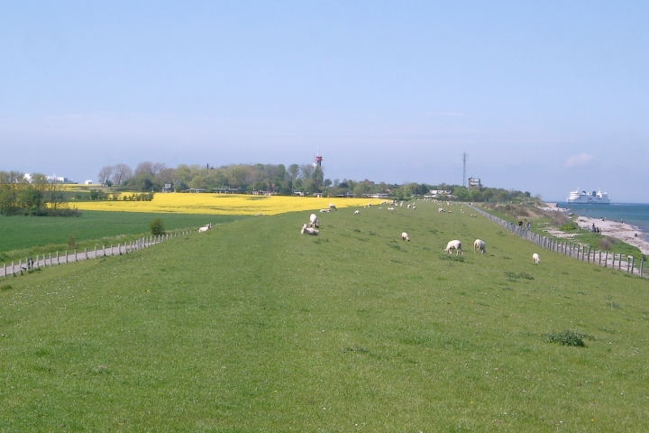 Küste von Presen Richtung Puttgarden