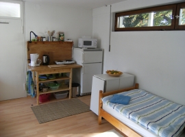 Grünes Zimmer - Blick auf Küchenzeile