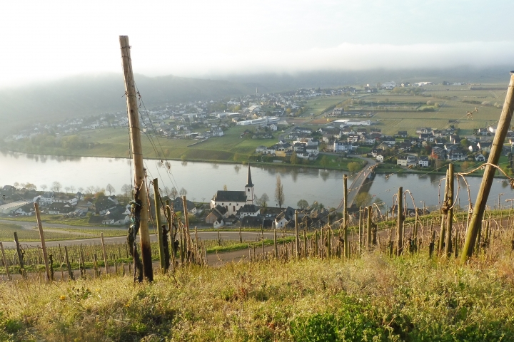 Nachbarort Piesport
