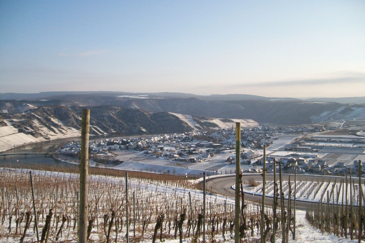 Winterbild
Moselschleife bei Piesport