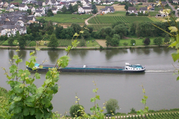 Unsere Umgebung im Sommer -
Blick in Piesport auf die Mosel