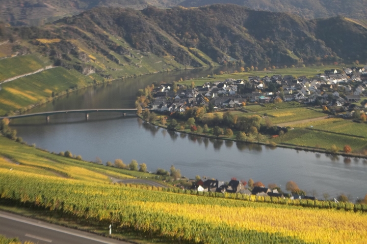 Mosel in der Nähe von Piesport